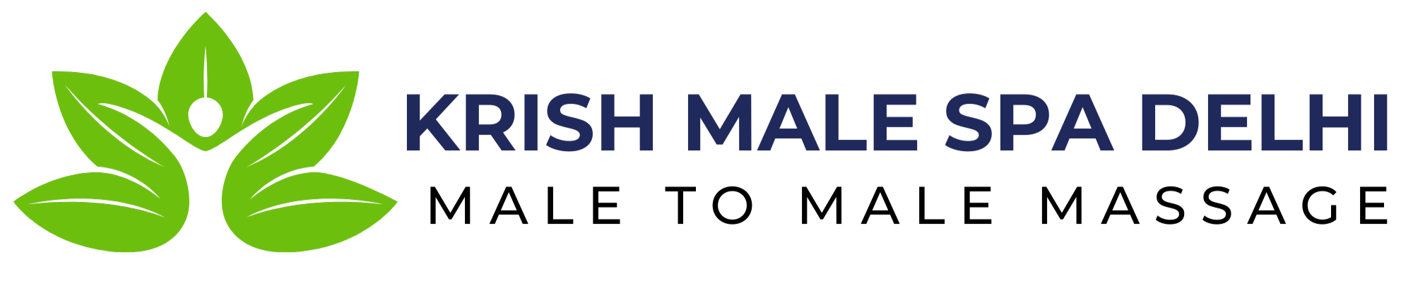 Elegant Spa and Wellness Studio Logo